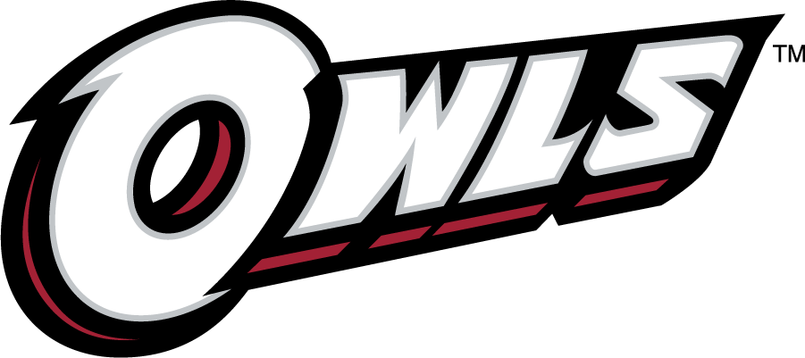 Temple Owls 2014-2020 Wordmark Logo v5 diy iron on heat transfer